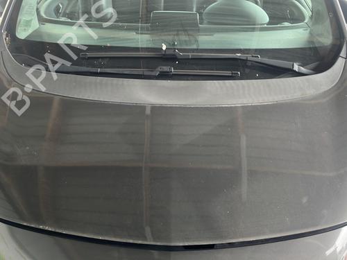 Capot Capot OPEL MERIVA B MPV (S10) 1.7 CDTI (75) (131 hp) 33773977 33773977