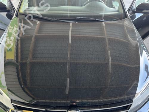 Used Hood Hood VW JETTA IV (162, 163, AV3, AV2) 2.0 TDI (110 hp) 33653346 33653346