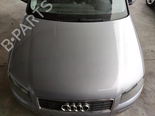 Used Hood Hood AUDI A3 (8P1) 1.6 FSI (115 hp) 33594279 33594279