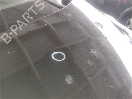 hood-renault-scenic-iii-jz01_-2008-2009-2010-2011-2012-2013-2014-2015-2016-33588579 main image