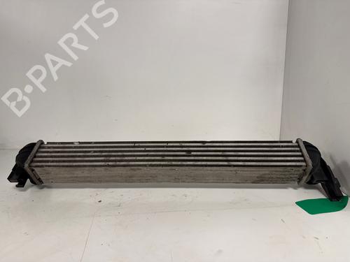 Intercooler Intercooler VW POLO V (6R1, 6C1) [2009-2022] 34183851 34183851