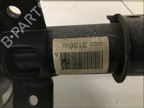 Used Left front shock absorber Left front shock absorber PEUGEOT 308 II (LB_, LP_, LW_, LH_, L3_) 1.6 THP 125 (125 hp) 33587604 33587604