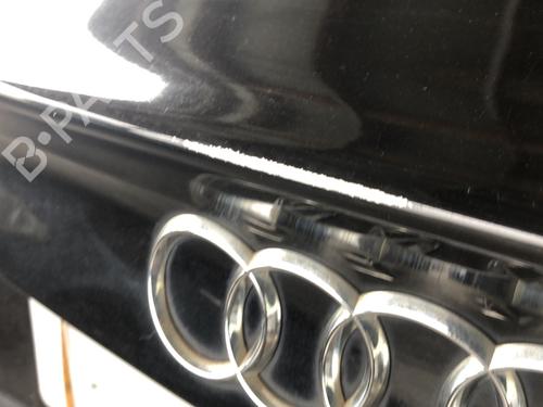 Used Tailgate Tailgate AUDI A5 Sportback (8TA) 2.0 TDI (143 hp) 33601863 33601863