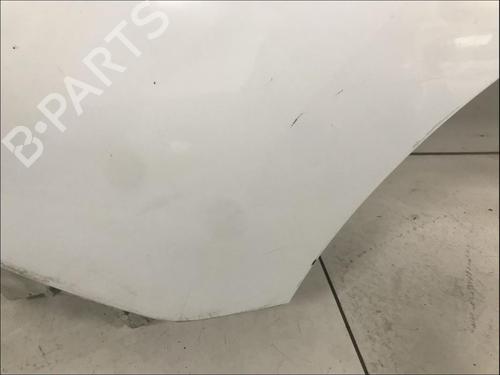 Used Left front fenders Left front fenders RENAULT KANGOO Express (FW0/1_) 1.5 dCi 70 (FW0A, KW0V) (68 hp) 33573796 33573796