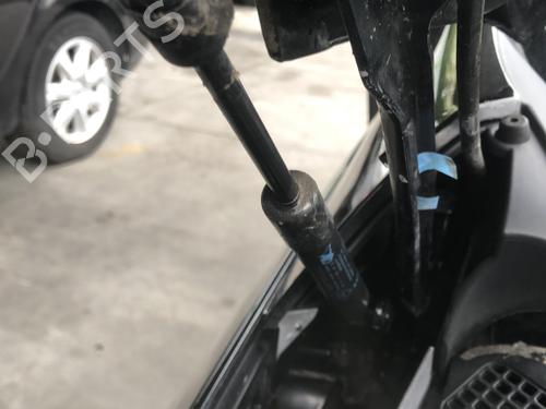 Amortecedor do capot Amortecedor do capot RENAULT SCÉNIC III (JZ0/1_) 1.6 dCi (JZ00, JZ12) (130 hp) 33739339 33739339