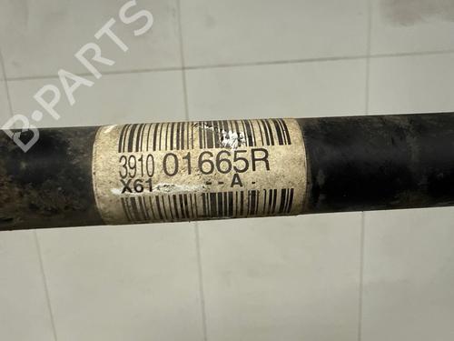 right-front-driveshaft-renault-kangoo-express-fw01_-2008-36581953 main image