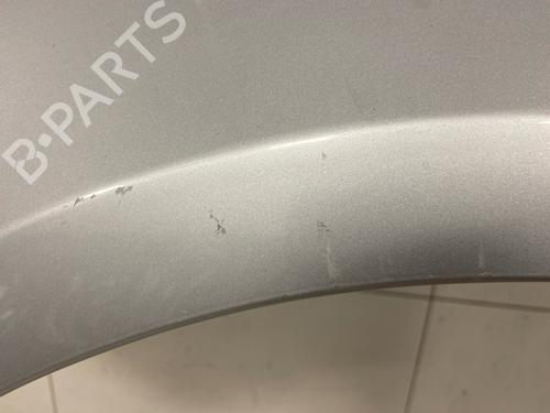 Guarda-lamas esquerdo Guarda-lamas esquerdo RENAULT CLIO III (BR0/1, CR0/1) [2005-2014] 33990360 33990360