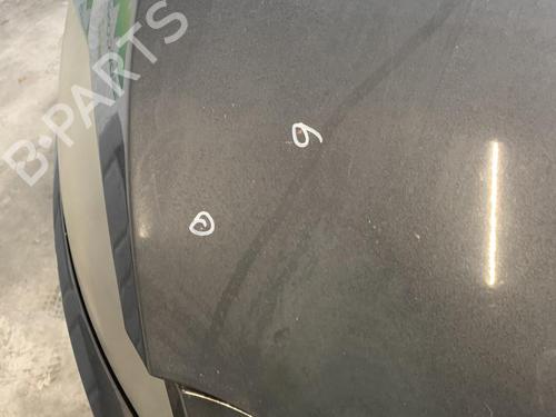 Used Hood Hood SEAT LEON (1P1) 2.0 TDI (170 hp) 33596275 33596275