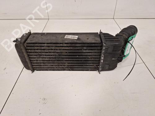 Used Intercooler Intercooler PEUGEOT 207 (WA_, WC_) [2006-2015] 33594995 33594995