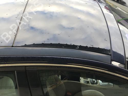 Soltag Soltag RENAULT LAGUNA III (BT0/1) 2.0 dCi (BT01, BT08, BT09, BT0E, BT0K, BT12, BT1C, BT1D,... (150 hp) 33601044 33601044