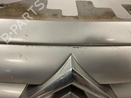 Used Grille Grille 38309685 38309685