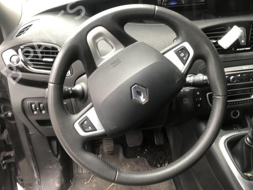 Rat Rat RENAULT SCÉNIC III (JZ0/1_) 1.6 dCi (JZ00, JZ12) (130 hp) 33739386 33739386