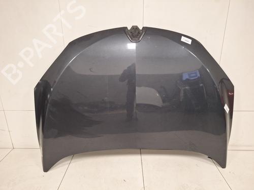 hood-renault-megane-iii-hatchback-bz01_-b3_-2008-33585966 main image