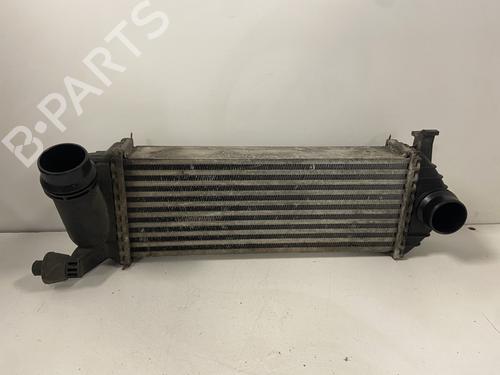 Used Intercooler Intercooler RENAULT KANGOO Express (FW0/1_) [2008-2026] 36521441 36521441