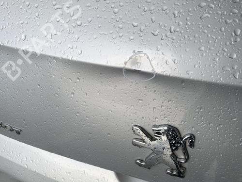 Used Tailgate Tailgate PEUGEOT 308 I (4A_, 4C_) 1.6 HDi (109 hp) 33601927 33601927