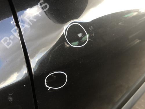 left-front-door-renault-megane-iii-hatchback-bz01_-b3_-2008-33631821 main image