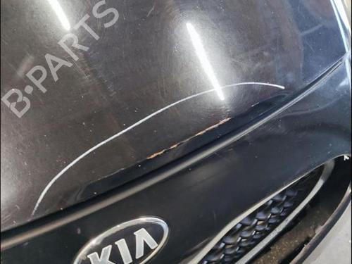 BP33582923C1 main image