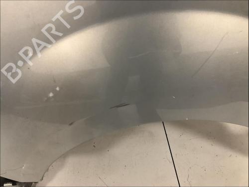 Used Left front fenders Left front fenders RENAULT KANGOO (KC0/1_) 1.4 (KC0C, KC0H, KC0B, KC0M) (75 hp) 33581885 33581885