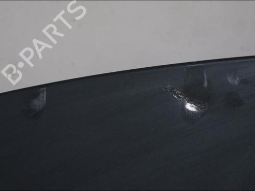 Used Hood Hood PEUGEOT 207 SW (WK_) 1.6 HDi (92 hp) 33573732 33573732