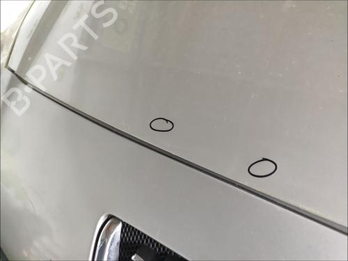 hood-peugeot-1007-km_-2005-33587692 main image