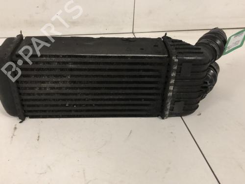 Used Intercooler Intercooler PEUGEOT 207 (WA_, WC_) 1.6 HDi (109 hp) 33596339 33596339
