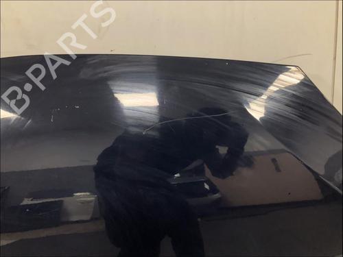 Used Hood Hood DACIA SANDERO [2008-2026] 33587501 33587501