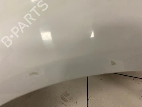 left-front-fenders-renault-scenic-ii-jm01_-2003-2004-2005-2006-2007-2008-2009-2010-36582365 main image