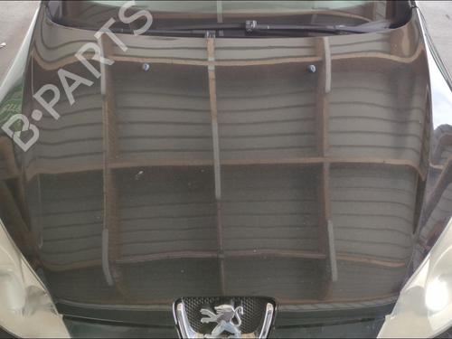 Used Hood Hood PEUGEOT 407 SW (6E_, 6D_) 2.0 HDi 135 (136 hp) 33588060 33588060
