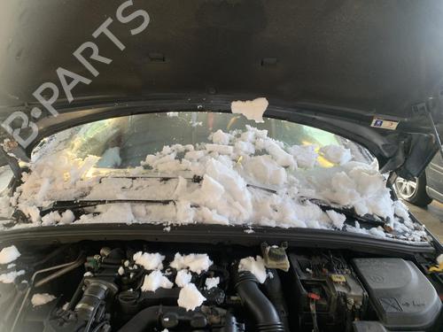 Used Scuttle panel Scuttle panel PEUGEOT 308 I (4A_, 4C_) 1.6 HDi (109 hp) 35913474 35913474