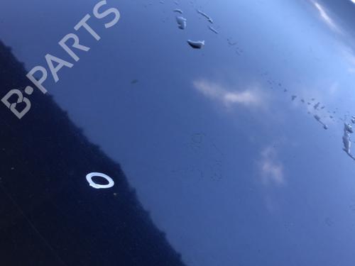 hood-renault-laguna-iii-bt01-2007-2008-2009-2010-2011-2012-2013-2014-2015-33601000 main image
