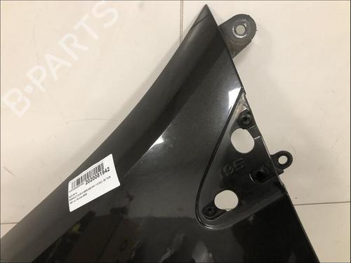 Guarda-lamas esquerdo Guarda-lamas esquerdo RENAULT CLIO III (BR0/1, CR0/1) 1.5 dCi (BR0H, CR0H, CR1S, BR1S) (106 hp) 33587664 33587664
