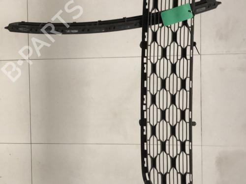 Used Grille Grille CITROËN C3 II (SC_) [2009-2026] 33594133 33594133