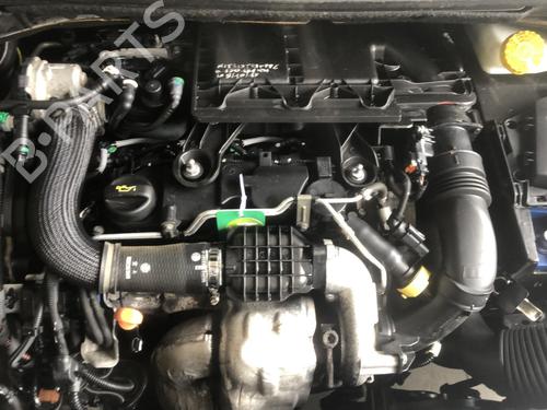 Used Engine Engine CITROËN C3 II (SC_) 1.4 HDi 70 (SC8HZC, SC8HR0, SC8HP4) (68 hp) 33631846 33631846