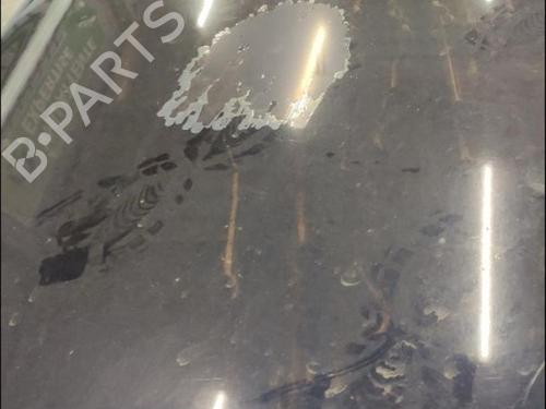 Used Hood Hood MERCEDES-BENZ M-CLASS (W163) ML 270 CDI (163.113) (163 hp) 33584907 33584907