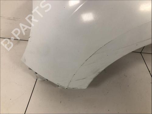 left-front-fenders-renault-kangoo-express-fw01_-2008-33588307 main image
