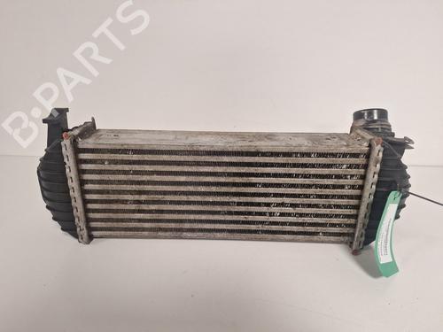 Used Intercooler Intercooler RENAULT KANGOO Express (FW0/1_) [2008-2026] 33600181 33600181