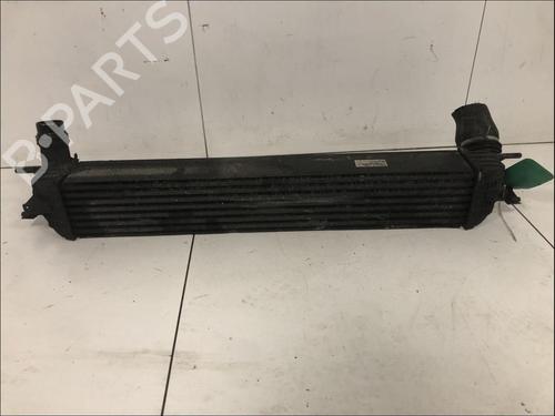 Used Intercooler Intercooler RENAULT LAGUNA III (BT0/1) 2.0 dCi (BT01, BT08, BT09, BT0E, BT0K, BT12, BT1C, BT1D,... (150 hp) 33581341 33581341