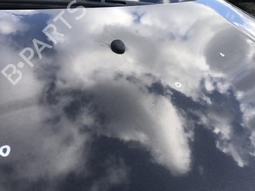 Used Hood Hood CITROËN C5 III Break (RW_) 1.6 HDi 115 (114 hp) 33601654 33601654