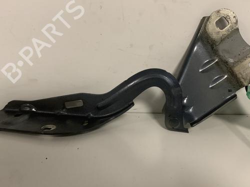 hingedoor-check-strap-renault-twingo-ii-cn0_-2007-33594756 main image