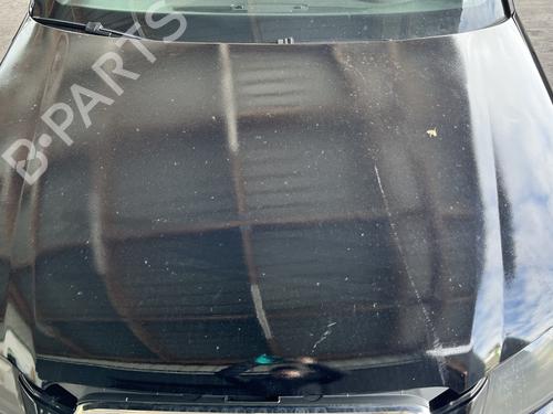 Capot Capot AUDI A3 (8P1) 1.9 TDI (105 hp) 34569781 34569781