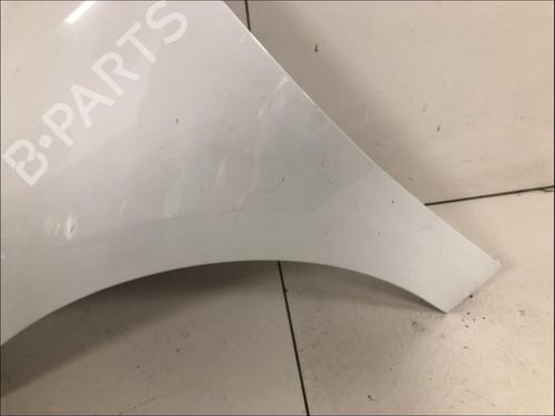 left-front-fenders-renault-megane-iii-hatchback-bz01_-b3_-2008-33588822 main image
