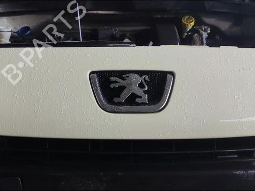 grille-peugeot-1007-km_-2005-33583666 main image