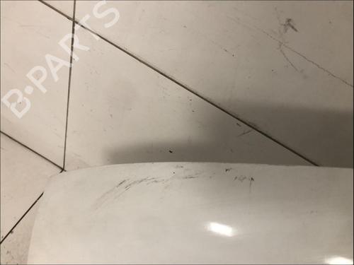 Used Left front fenders Left front fenders RENAULT KANGOO (KC0/1_) 1.5 dCi (KC07) (65 hp) 33583116 33583116