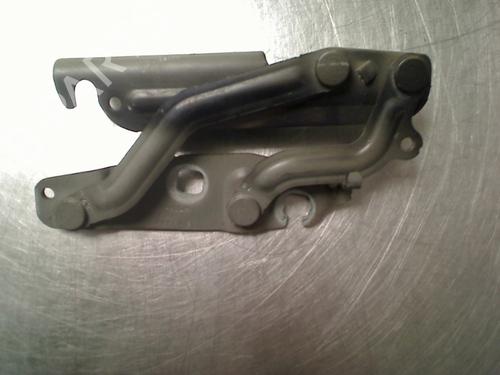 hingedoor-check-strap-ford-fiesta-vi-cb1-ccn-2008-34688683 main image