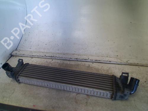 Ladeluftkühler für Ladeluftkühler FORD FOCUS C-MAX (DM2) 1.6 TDCi (90 hp) 34667182 34667182