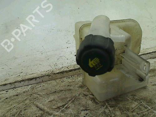 expansion-tank-renault-laguna-ii-bg01_-2001-2002-2003-2004-2005-2006-2007-34654417 main image