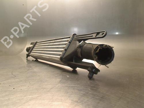 Used Intercooler Intercooler RENAULT MEGANE II Coupé-Cabriolet (EM0/1_) 2.0 16V Turbo (163 hp) 34685079 34685079