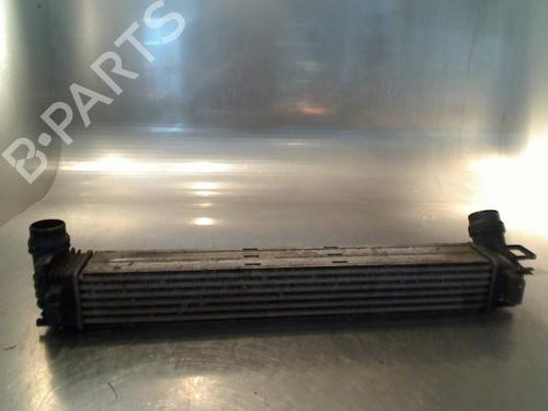 Used Intercooler Intercooler RENAULT MEGANE III Grandtour (KZ0/1) 1.5 dCi (86 hp) 34681724 34681724