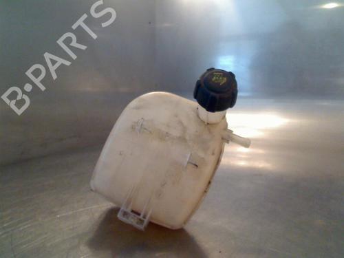 expansion-tank-renault-twingo-ii-cn0_-2007-34683933 main image