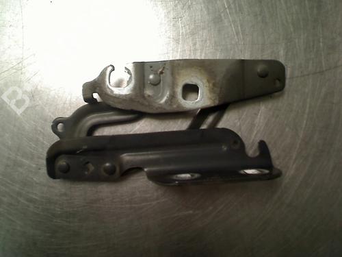 hingedoor-check-strap-ford-fiesta-vi-cb1-ccn-2008-34688684 main image